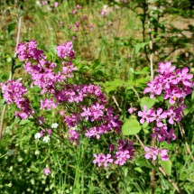 Central Europe